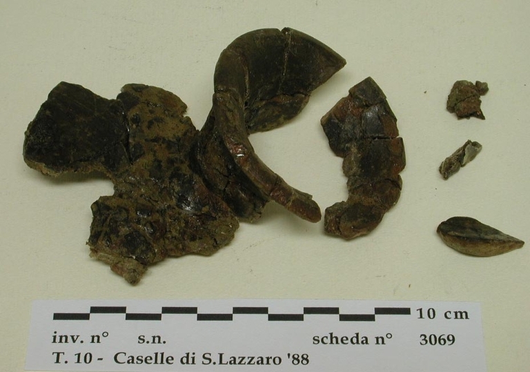 caselle-3069 rep 4 dp_1_1